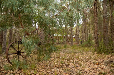 Denmark Forest Retreat - Tourism Townsville 5