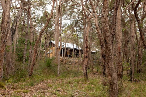 Denmark Forest Retreat - Tourism Townsville 27