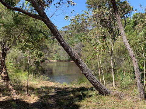 Denmark Forest Retreat - Tourism Townsville 32
