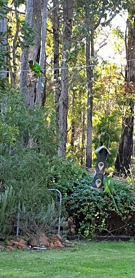 Di's Cabin In Dwellingup - Tourism Townsville 6
