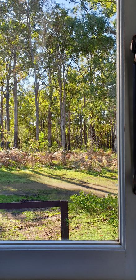 Di's Cabin In Dwellingup - Tourism Townsville 2