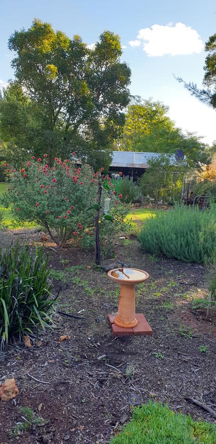 Di's Cabin In Dwellingup - Tourism Townsville 14