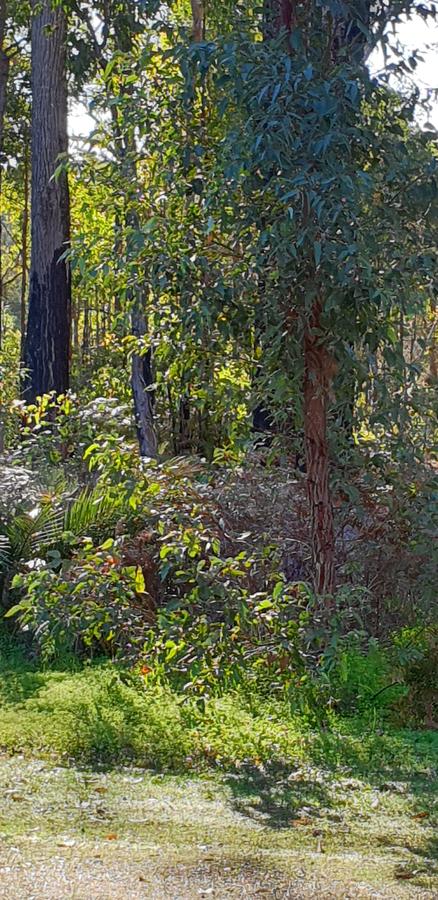 Di's Cabin In Dwellingup - Tourism Townsville 8