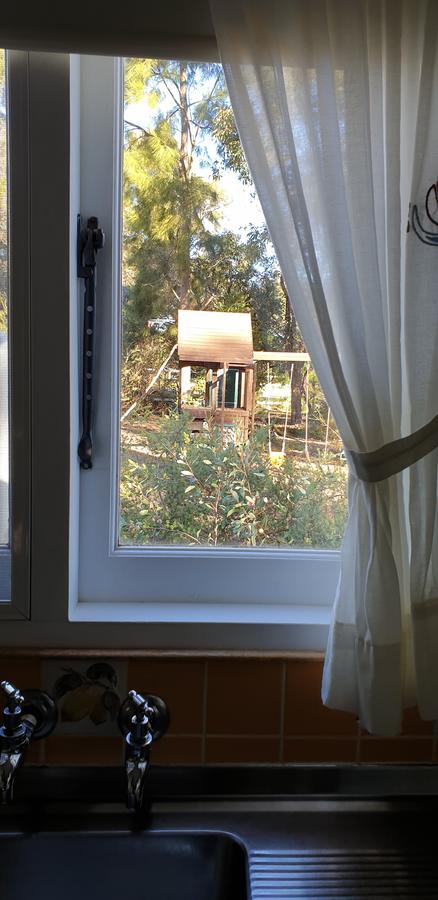 Di's Cabin In Dwellingup - Tourism Townsville 15