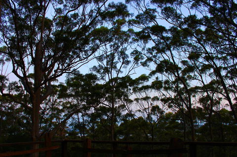 Ark Of Denmark - Tourism Townsville 27