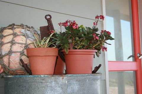 Bremer Bay B&B - Tourism Townsville 28