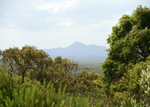 Bremer Bay B&B - Tourism Townsville 32