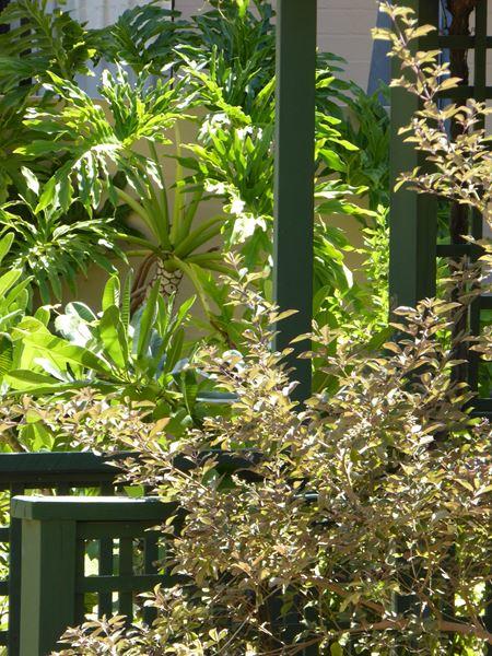 Kalbarri Beach Resort - Tourism Townsville 32