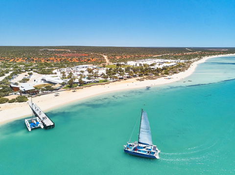 RAC Monkey Mia Dolphin Resort - Tourism Townsville 44