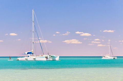 RAC Monkey Mia Dolphin Resort - Tourism Townsville 18