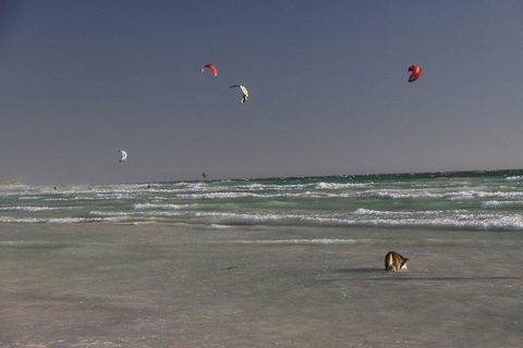 Dongara Tourist Park - Tourism Townsville 33