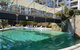 Scarborough - Oceanview 2 Bed, 2 Bathroom Apartment - thumb 9
