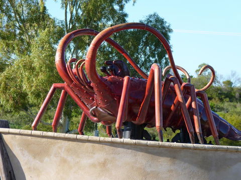 Leander Reef Holiday Park - Tourism Townsville 4