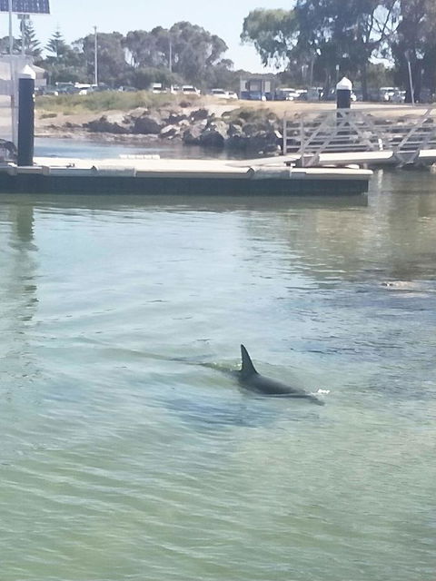 Sea-Esta - Tourism Townsville 26