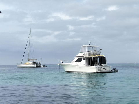 Sea-Esta - Tourism Townsville 28