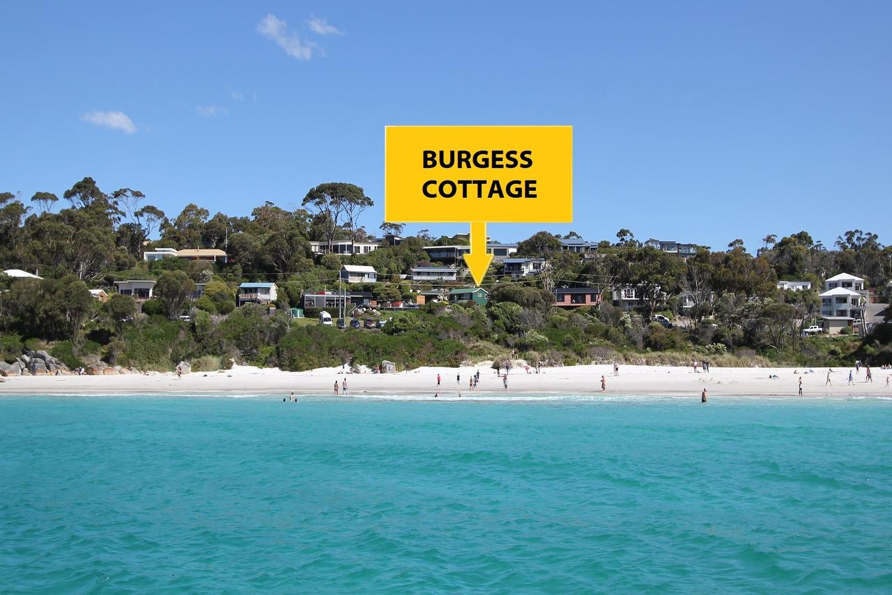 Pyengana TAS Tourism Townsville