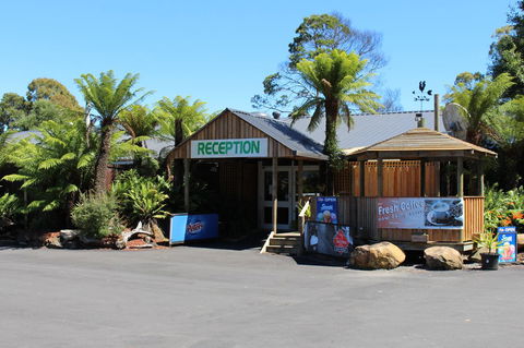 Tullah Lakeside Lodge - Tourism Townsville 5
