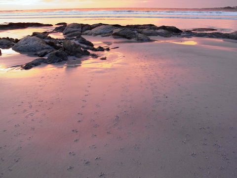 Beachend Bicheno - Tourism Townsville 2