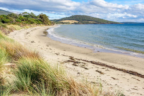 Omaroo Cottage Bruny Island - Tourism Townsville 14