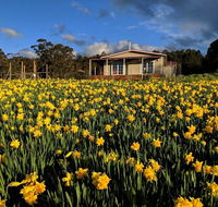Mountain Blue Guest House - Tourism Townsville