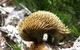 Cradle Mountain Love Shack - thumb 22