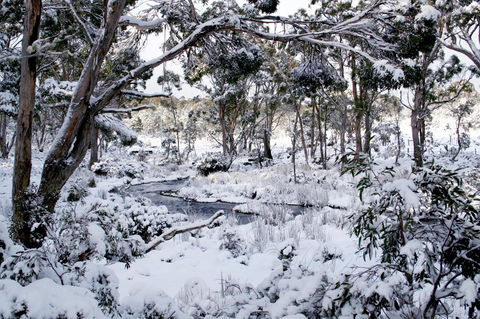 Cradle Mountain Love Shack - Tourism Townsville 11