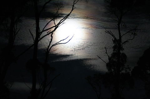 Cradle Mountain Love Shack - Tourism Townsville 12