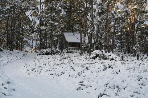 Cradle Mountain Love Shack - Tourism Townsville 7