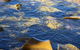 Blu-Sea 365 - thumb 28