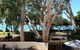 On Palm Cove Beachfront Apartments - thumb 3