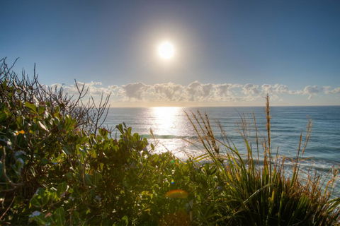 Osprey - Sapphire Beach NSW - Tourism Townsville 2