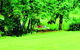 Paradise Eco B & B - thumb 1