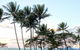 Paradise In The Tropics - thumb 1