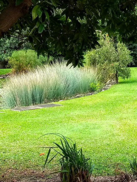 Paradise In The Tropics - Tourism Townsville 3