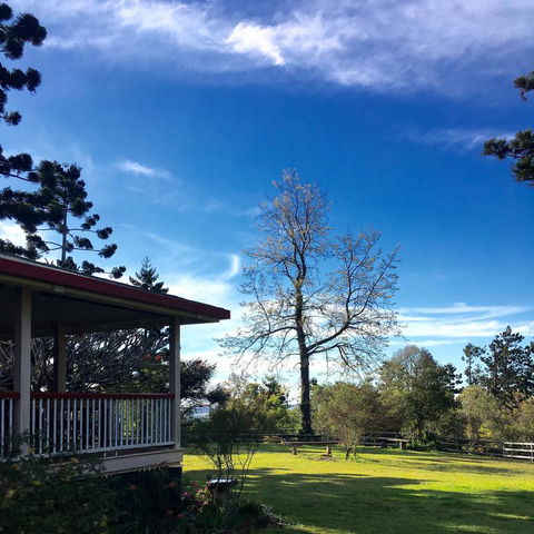 Pechey Homestead - Tourism Townsville 3