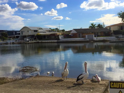 Pelican Cove Apartments - Tourism Townsville 0