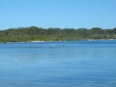 Pet Friendly - Exceptional Beachside Location - Tourism Townsville 3