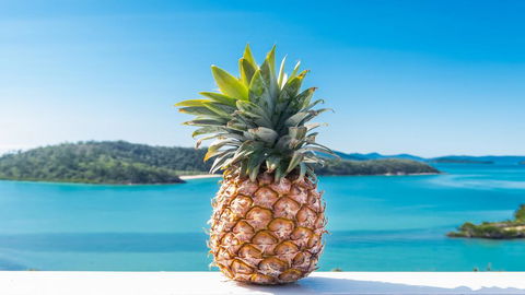 Pineapple House Whitsundays - Tourism Townsville 0