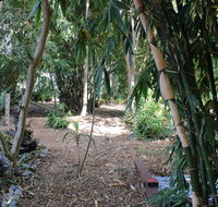 Rainforest Water Front River Shack Secluded. - Tourism Townsville