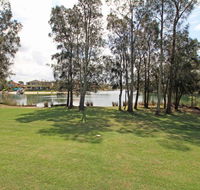 Ray of Sunshine - Waterfront Reserve - Tourism Townsville