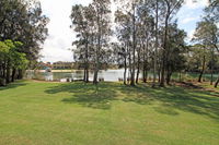 Ray of Sunshine - Waterfront Reserve