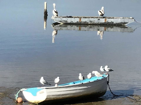 Reflections On Merimbula Lake - Tourism Townsville 2