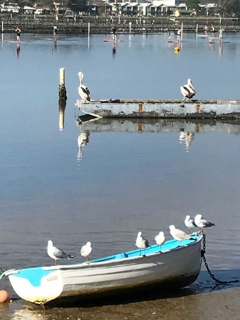 Reflections On Merimbula Lake - Tourism Townsville 1