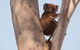 Reidford Cottage - Dog Friendly - thumb 1