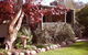Reidford Cottage - Dog Friendly - thumb 0