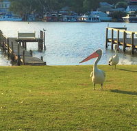 Riverfront Getaway - Mannum - Tourism Townsville