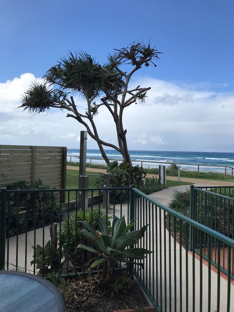 Sanctuary Beach Resort - Tourism Townsville 2