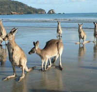 Seaforth Holiday Units - Tourism Townsville