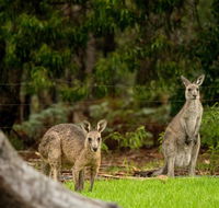 Secura Lifestyle Countryside Kalaru - Tourism Townsville