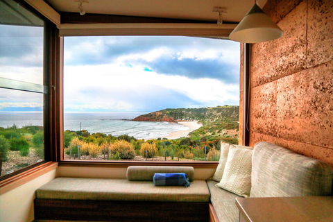 Sheoaks - Tourism Townsville 3
